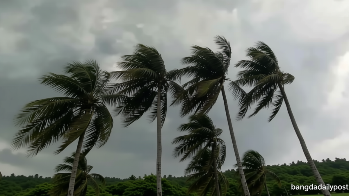 5b068e01-f776-4903-b029-2dcc2bb544d7-0