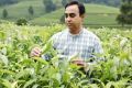 আন্তর্জাতিক চা দিবস / চা শিল্পে নতুন সম্ভাবনা তৈরি করছে শাবিপ্রবির এফইটি বিভাগ