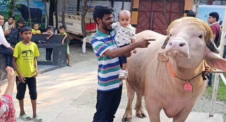 কোরবানির জন্য কেনা পশু কোরবানি না করলে গুনাহ হবে?