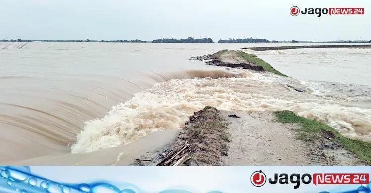 গড়াডোবা হাওরে ফসল রক্ষা বাঁধ ভেঙে পানি প্রবেশ, আতঙ্কে কৃষক