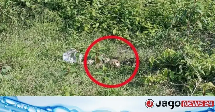 ফটিকছড়িতে টিলার খাদে মানুষের মাথার খুলি