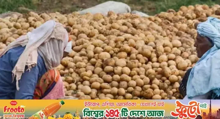 আলু বাণিজ্যে বড় সিদ্ধান্ত পশ্চিমবঙ্গের
