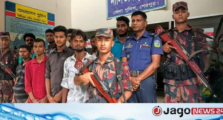 শেরপুর সীমান্ত দিয়ে ১০ বাংলাদেশিকে ফেরত দিলো বিএসএফ