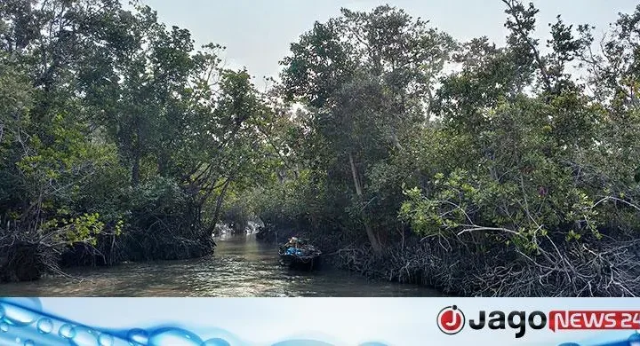 সুন্দরবনে বন বিভাগের সদস্যদের গুলিতে জেলে নিহতের দাবি