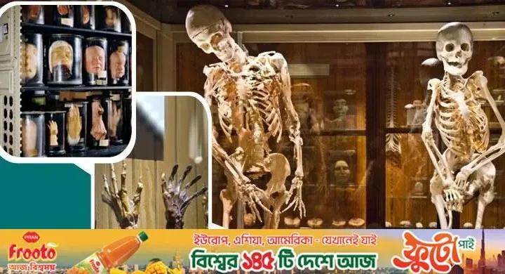 মানুষের শরীরের অঙ্গপ্রত্যঙ্গের সংগ্রহশালা এই জাদুঘর