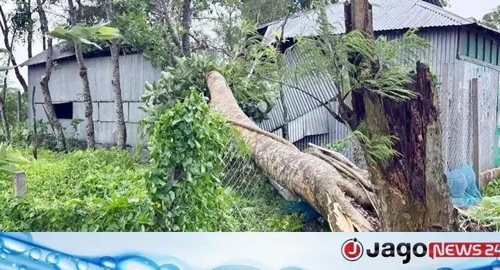 ২৪ ঘণ্টা বিদ্যুৎহীন মাদারগঞ্জবাসী