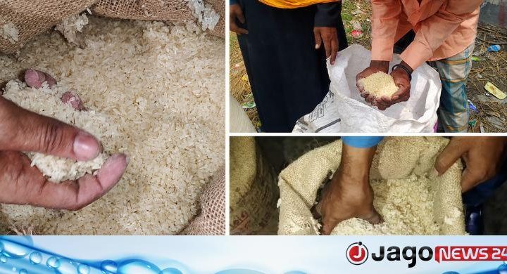 ভিজিএফ চালে পোকা-পচা গন্ধ, ক্ষুব্ধ সুবিধাভোগীরা