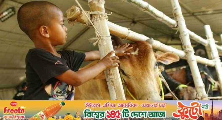 ‘দাম শুনে ব্যাপারীরা মুচকি হাসেন’