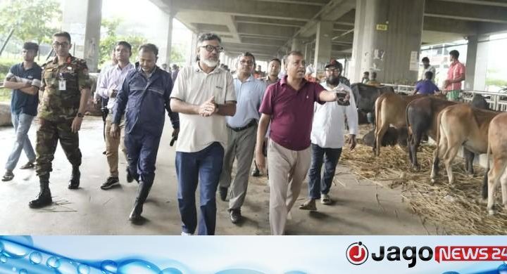 মেট্রোরেল স্টেশনের নিচে কোরবানির পশুর সারি, সরালেন ডিএনসিসি প্রশাসক