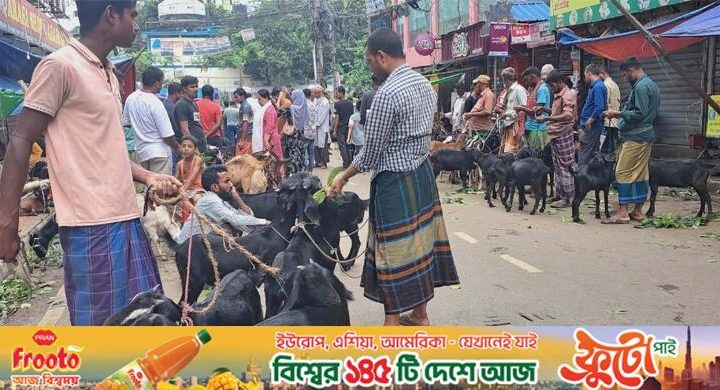 শেষ মুহূর্তে মিরপুর এলাকায় জমে উঠেছে ছাগলের বিক্রি