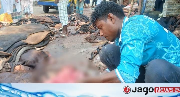 ‘৩০০ টাকায় গরুর চামড়া বিক্রি, ১০০ টাকাই গেলো ভাড়ায়’