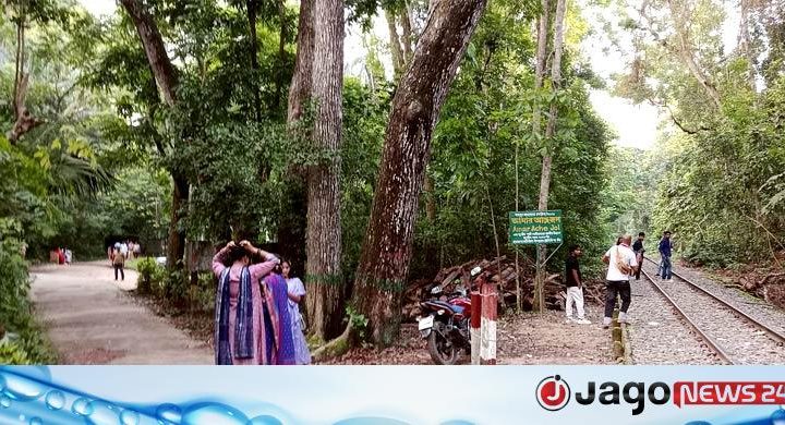 জমেনি মৌলভীবাজারের পর্যটন শিল্প, দুঃশ্চিন্তায় ব্যবসায়ীরা