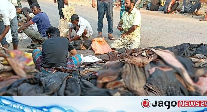 চামড়া এখন গলার কাঁটা