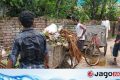 সৈয়দপুর পৌরসভায় কোরবানির বর্জ্য শতভাগ অপসারণ