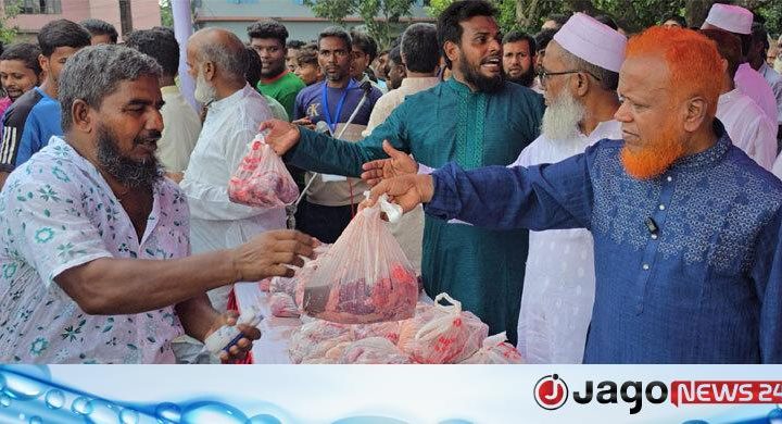 চাঁপাইনবাবগঞ্জ / জামায়াতের এক এমপিই দিলেন ১৬ গরু কোরবানি, তুর্কি এনজিও থেকে আরও ৭৯