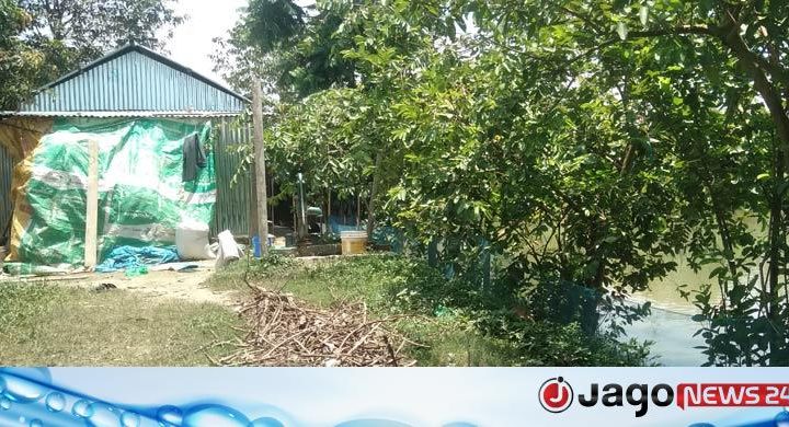ব্রাহ্মণবাড়িয়ায় এক খামারে চারদিনে তিনশ’ হাঁসের মৃত্যু