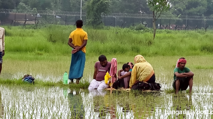 ‘বিশুদ্ধ পানি নেই, জমে থাকা কাদামাখা পানি খেতে হচ্ছে’
