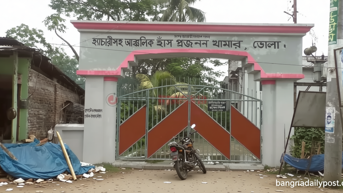 ভোলায় বন্ধ হাঁস প্রজনন খামার, ভাঙছে হাজারো উদ্যোক্তার স্বপ্ন