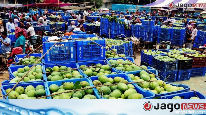 আমে চাঙা উত্তরাঞ্চলের অর্থনীতি, জীবিকায় জড়িত লাখো মানুষ