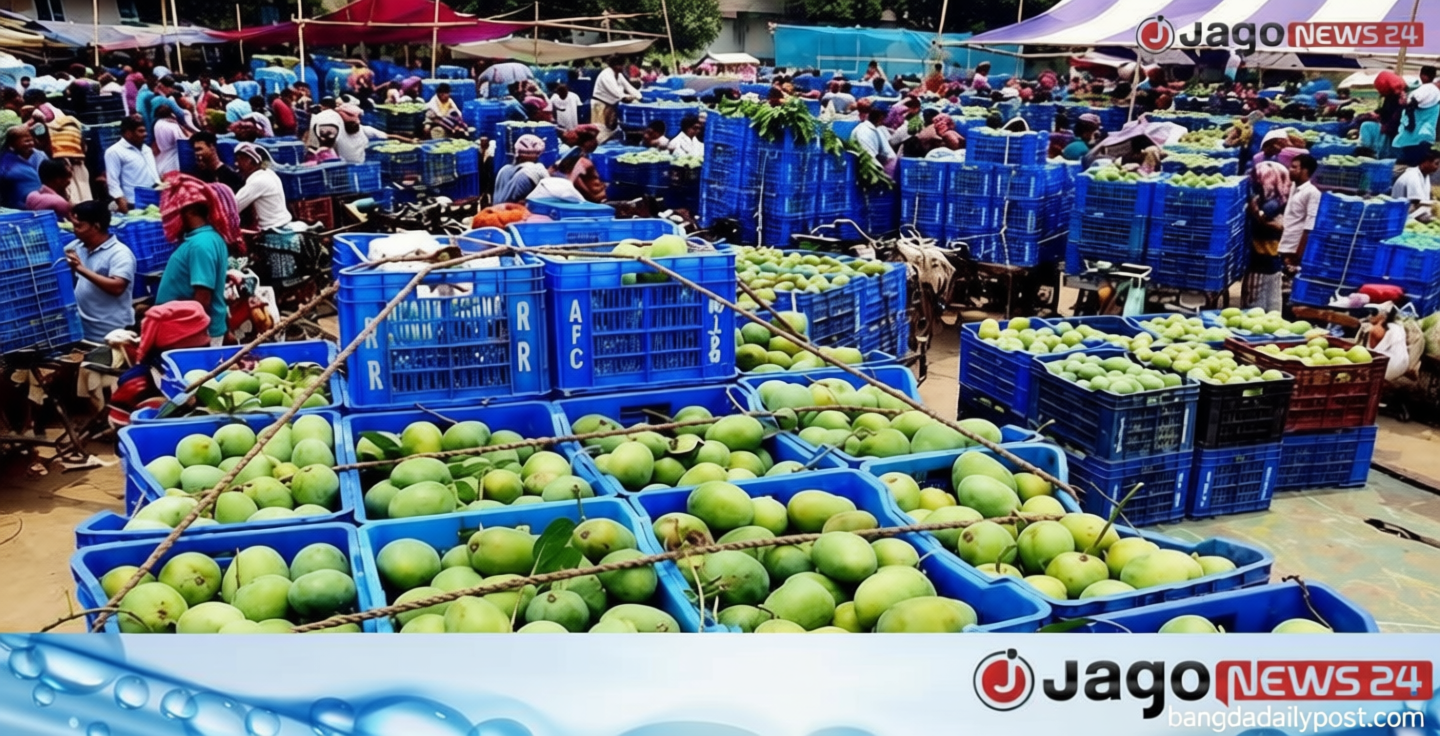 আমে চাঙা উত্তরাঞ্চলের অর্থনীতি, জীবিকায় জড়িত লাখো মানুষ