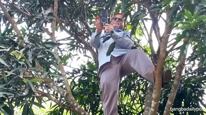 গাছে উঠে অনলাইন হাজিরা দিলেন প্রধান শিক্ষক, ছবি ভাইরাল