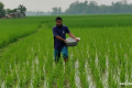 সার বিক্রেতাদের ভ্যাট, কীটনাশক আমদানিতে আগাম কর অব্যাহতি