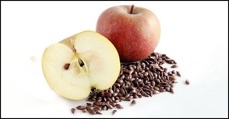 apple-seeds-mpw8kd9u23ag3rj-20260602121107