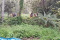 সীমান্তে ২৮ জনকে পুশইন করলো বিএসএফ
