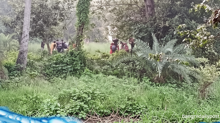সীমান্তে ২৮ জনকে পুশইন করলো বিএসএফ