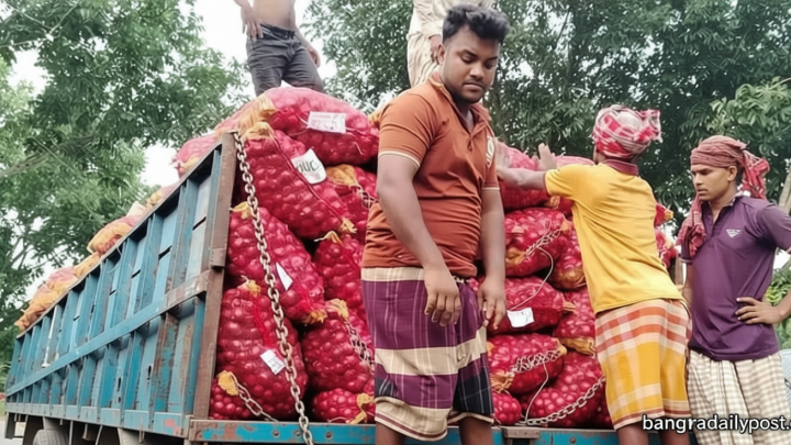 ফরিদপুর / পেঁয়াজ চাষিদের হাহাকার, লাভ তো দূরের কথা খরচই উঠছে না