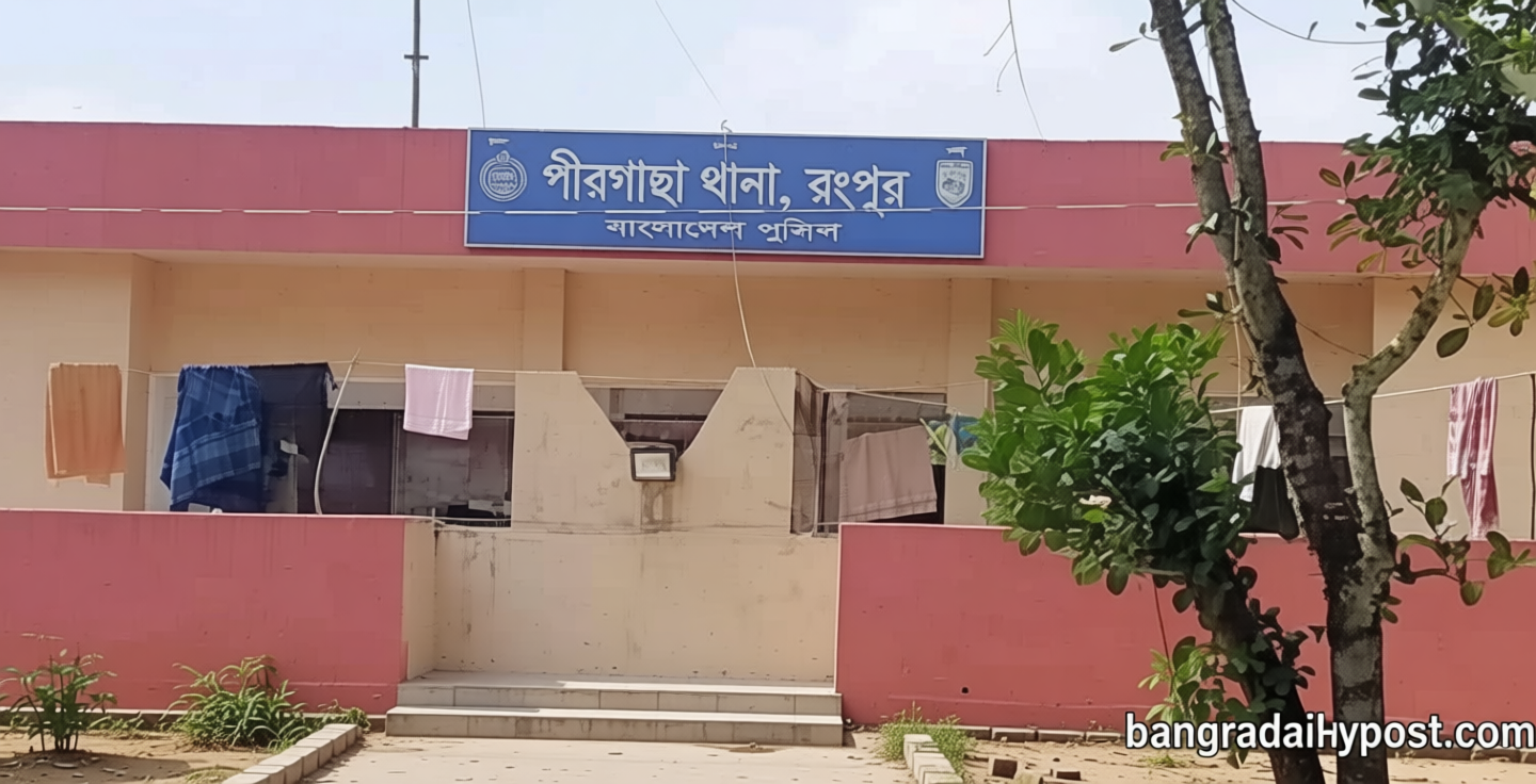 রংপুরে ডোবার পানিতে ডুবে দুই ভাইয়ের মৃত্যু