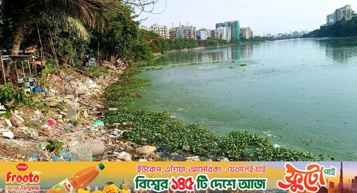হাতিরঝিলে এখনো যত্রতত্র ময়লা, পড়ে আছে গবাদিপশুর মলমূত্রও