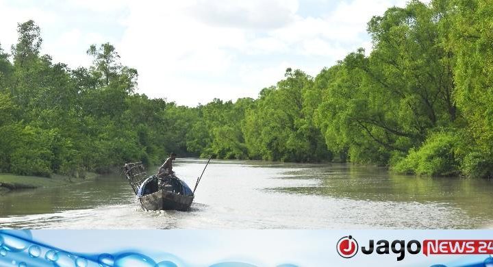 দারভাঙ্গা খাল: জোয়ার-ভাটার নীরব স্বর্গ
