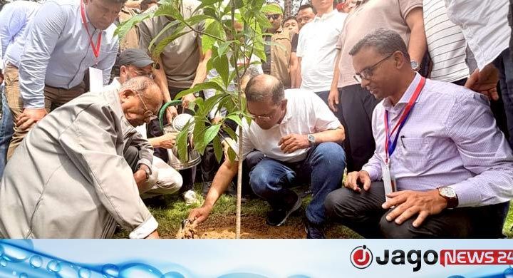 বছরে অন্তত পাঁচ কোটি গাছ লাগানোর ইচ্ছে আছে: প্রধানমন্ত্রী