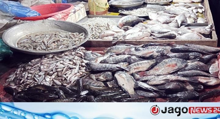 খুলনায় সবজিতে স্বস্তি থাকলেও চড়া মাছ বাজার
