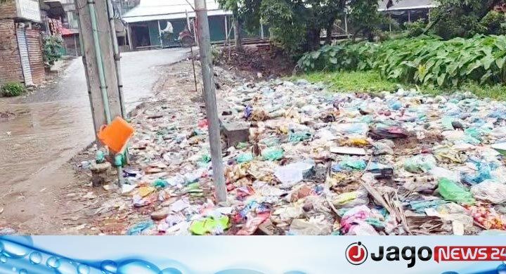 তারাবো পৌরসভায় ১২ দিন ধরে ময়লা নেওয়া বন্ধ, দুর্ভোগে বাসিন্দারা