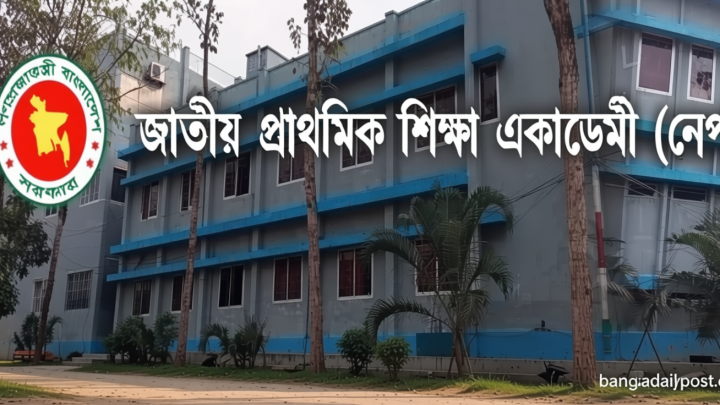 প্রাথমিকের ১৪ হাজার নতুন শিক্ষকের প্রশিক্ষণে প্রস্তুতি শুরু