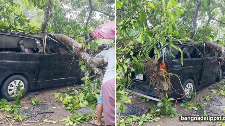 ভারী বৃষ্টিতে মাইক্রোবাসের ওপর ভেঙে পড়লো গাছ, আহত ৩
