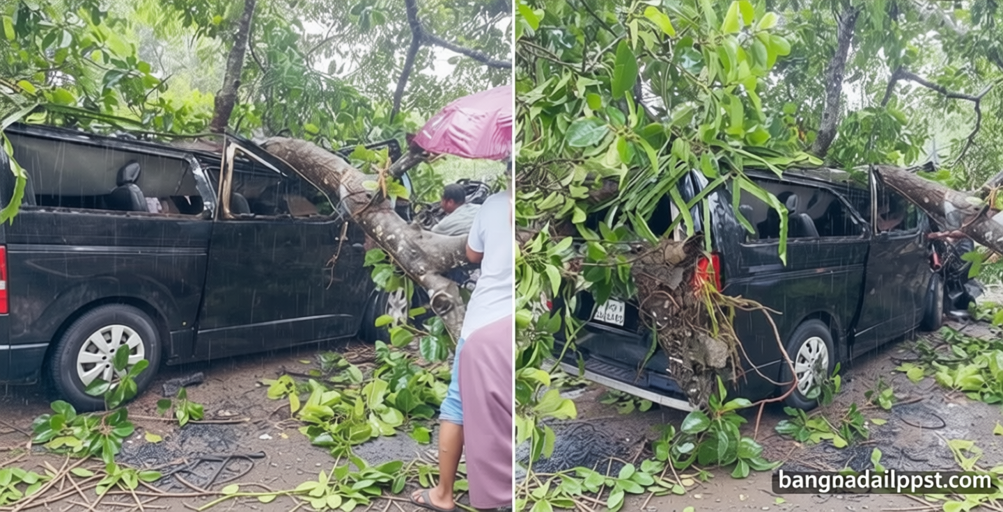 ভারী বৃষ্টিতে মাইক্রোবাসের ওপর ভেঙে পড়লো গাছ, আহত ৩