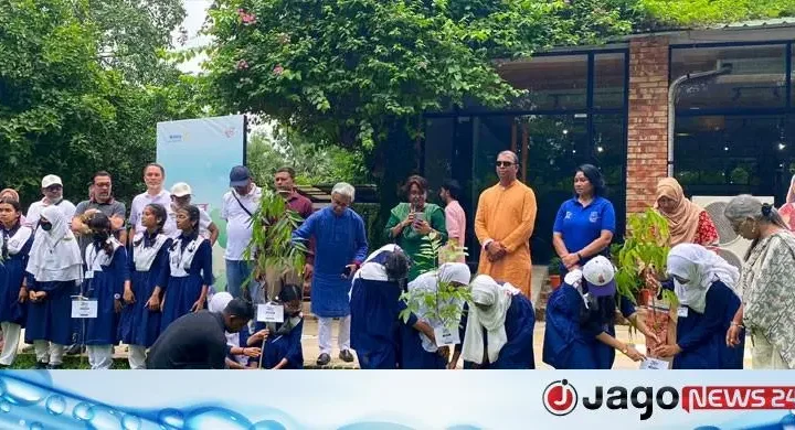 স্মৃতির শোক ভুলে সবুজের ছায়ায় নতুন জীবনের পথে মাইলস্টোনের শিক্ষার্থীরা