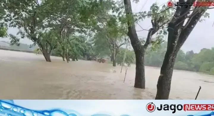 চট্টগ্রামের ৫ জেলায় মৎস্য ও প্রাণিসম্পদের পৌনে ৩০০ কোটি টাকার ক্ষতি