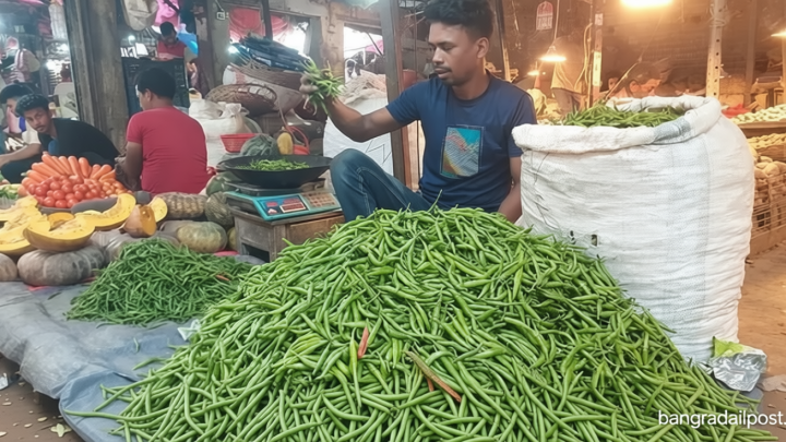 ভারত থেকে আসছে কাঁচামরিচ, কমবে দাম