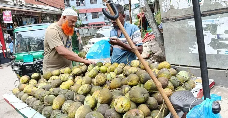 mango-msfy69619joaewf-20260805163806