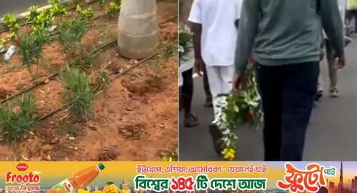 ভিডিও ভাইরাল / বিমানবন্দরের সৌন্দর্যবর্ধক গাছ তুলে নিয়ে যাচ্ছে দর্শনার্থীরা