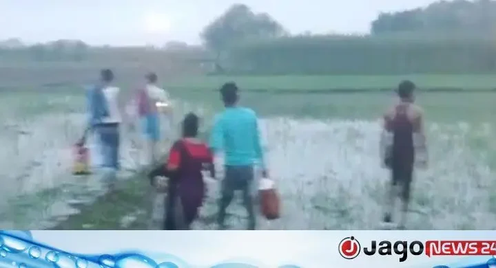 সীমান্তে বিএসএফের পুশ-ইন চেষ্টা, ঠেকাল বিজিবি