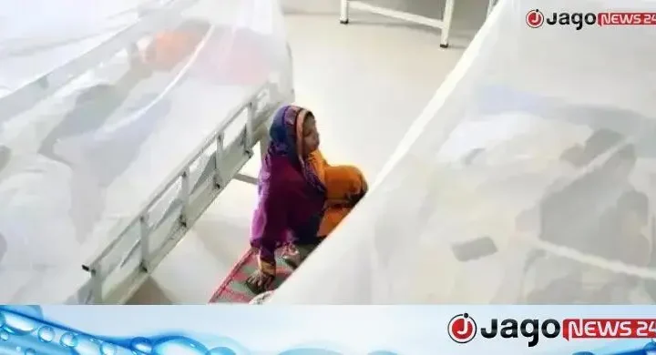 ডেঙ্গু নিয়ে হাসপাতালে চিকিৎসাধীন ১২৮১ রোগী