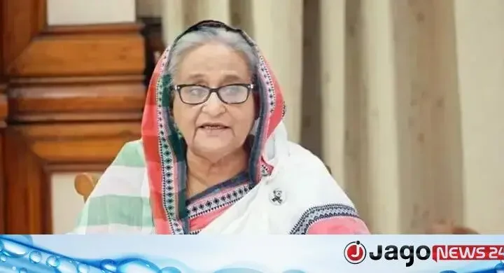 গোলাম পরওয়ার / হাসিনাকে সংবাদ সম্মেলনের সুযোগ দেওয়া ভারতের শিষ্টাচারবহির্ভূত আচরণ