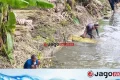 লবণাক্ততার চ্যালেঞ্জে সাতক্ষীরায় নতুন সম্ভাবনা দেশি পাট-৮