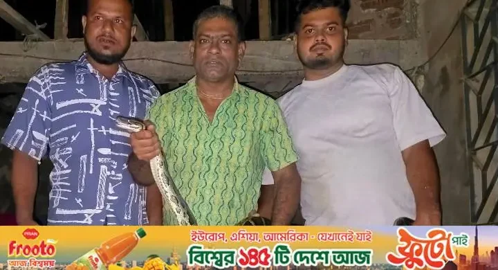 ঘরের সিলিং থেকে ১২ ফুট লম্বা অজগর উদ্ধার