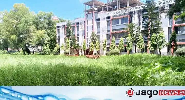 কলেজের মাঠ যেন জলাধার